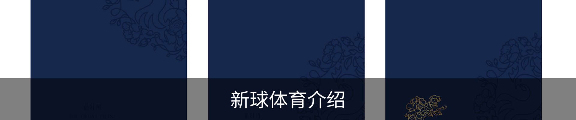 新球体育介绍